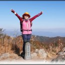 천자봉 농장 이미지