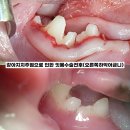 힐링동물병원 이미지