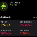 피티데이 이미지