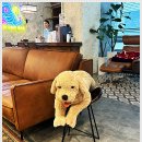 여의도의원 이미지