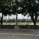 석순이네민물매운탕 이미지