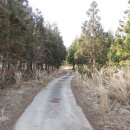 동광리-12 이미지