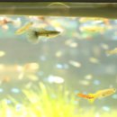 아쿠아가든카페 양재점 이미지