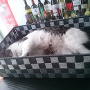 세븐일레븐 신현점 이미지