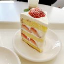 냉산공원 | 구미 케이크 맛집 두쫀쿠 파는 곳 오엠오 카페