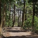 보림농장 이미지