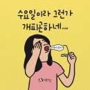 지향개 네이버블로그