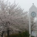 화랑유원지 이미지