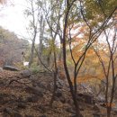 운림중학교 이미지