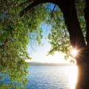 명상으로 치유하는 삶 이미지