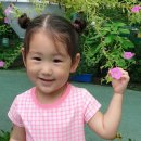 찬놀 이미지