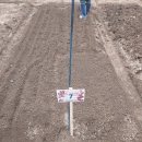 상식농장 이미지