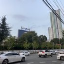 완월동202 | 창원 마산 산호동 치킨 맛집 : BBQ 비비큐치킨앤비어 마산산호점 황금올리브 핫윙 후기