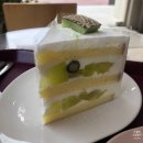 (상명대) 프루티에 (구 상명대커피니) 홀케이크 후기 포함 - 입짧은 햇님과 엄격한 빵순이들의 케이크 성지