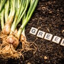 진도농장 이미지