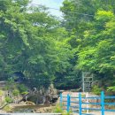 진틀펜션캠핑장 이미지