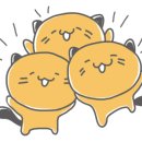 왕십리 고양이 위너펫 24시 이미지