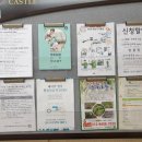 애드퍼스트 네이버블로그