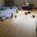 임*만 이미지