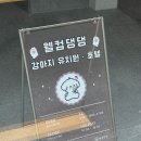 경기도 수원시 장안구 조원로50번길 네이버블로그