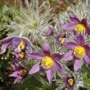 진양모텔 이미지