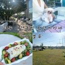 광주 애견동반 카페 매월동 : ‘헤이블루’ 광주 애견동반 브런치카페