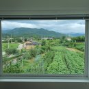 스테이 별 이미지