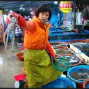 대천항 활어판매장 이미지