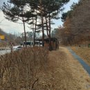 도안중로 이미지