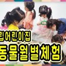 시립와동 어린이집 이미지