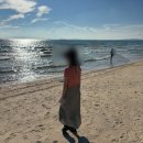 크미 | 햇빛이와 함께한 큼