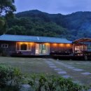 스테이 꿈의대화 이미지