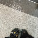 241127 첫 눈