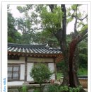 이도비어원주 | 혼자라도 가야하나? - 2