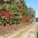 거제도게스트하우스 이미지