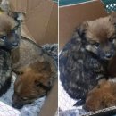 코인스테이지동전노래연습장 이미지