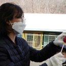 후계자 농장 이미지