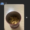 블루밍메모리 이미지