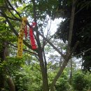 저두 출렁다리입구 이미지