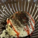 서귀포로맨스 조선대점 이미지