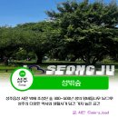 성주 경산리 성밖숲 | 성주 성밖숲 나들이 축제 나이트워킹 밤밤페스타