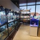 카페리움 이미지