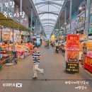 죽도활어회어시장 | 포항 아이랑 여행 코스 추천 죽도시장 주차 팁부터 가성비 홍게, 먹거리 총정리!