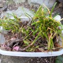 하양농업협동조합 이미지