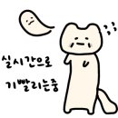 케꾸