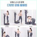 소닉렌탈