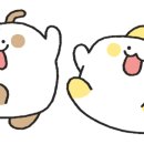 키즈세상 이미지