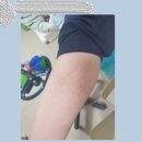 엄마이불 이미지