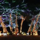 연인산다목적캠핑장 이미지