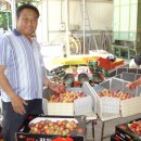 홍수농장 이미지